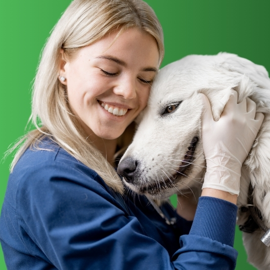 Choosing the right veterinary supplier: what really matters